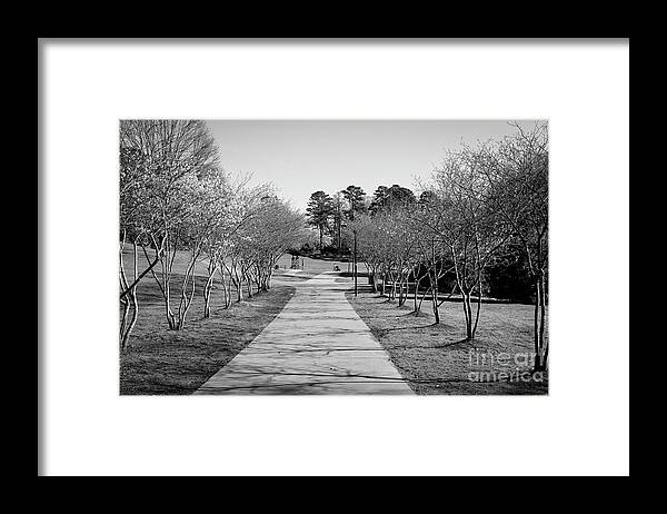 Landscape Framed Print featuring the photograph Tree Lined Path to Stroller by Robert Yaeger