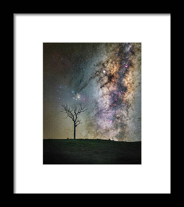 Milky Way Framed Print featuring the photograph Tree of Life by Ari Rex
