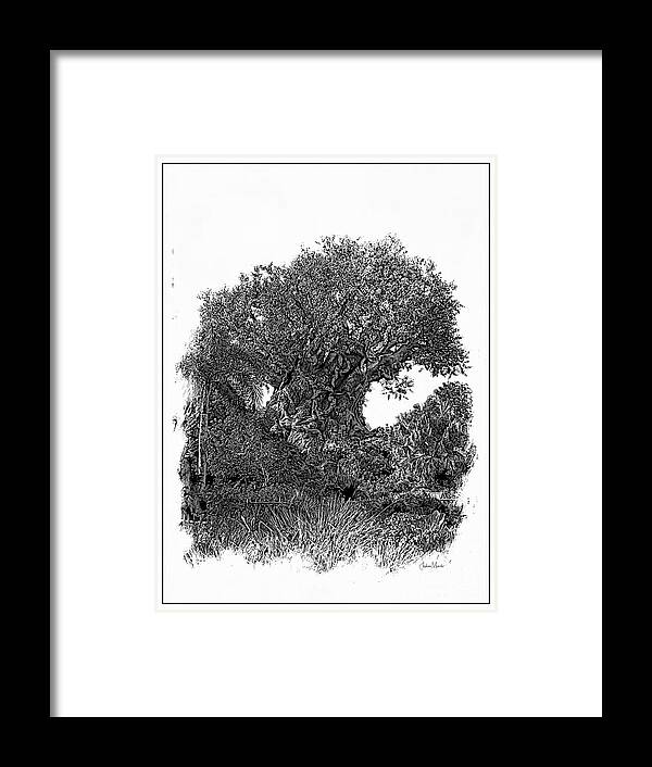 Animal Kingdom Framed Print featuring the photograph Tree of LIfe by FineArtRoyal Joshua Mimbs