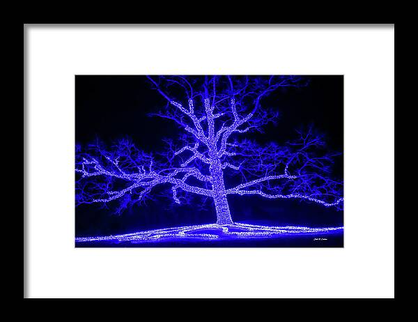 Holiday Lights Framed Print featuring the photograph Tree of Lights by Dale R Carlson