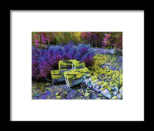  Framed Print featuring the photograph Tree Remains by Shirley Moravec
