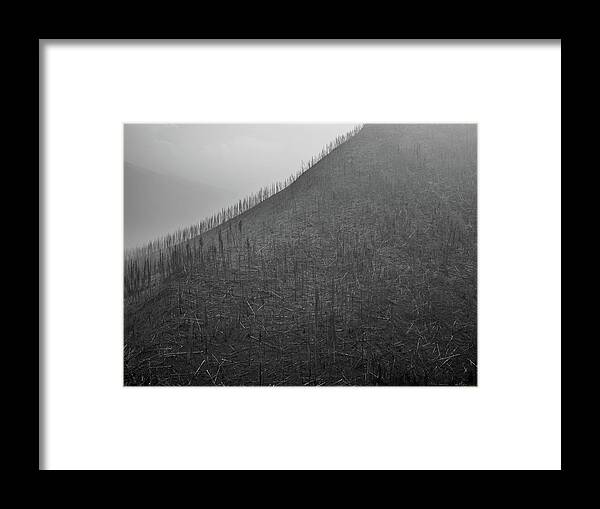 Trees Framed Print featuring the photograph Tree Skeletons on Hills by Pak Hong