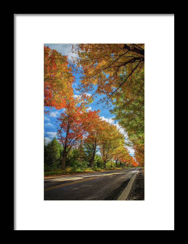 Michigan Framed Print featuring the photograph Tree Tunnel on M22 by Owen Weber