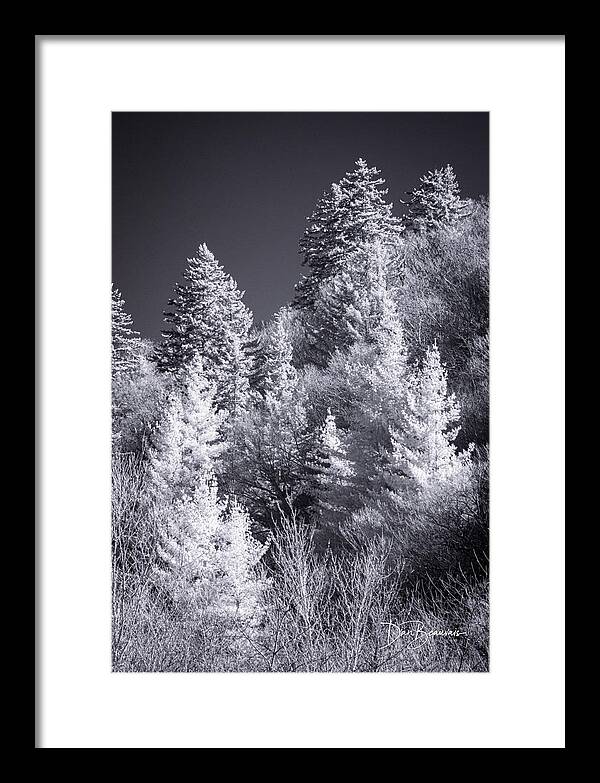 Trees Framed Print featuring the photograph Treeline 1107 by Dan Beauvais