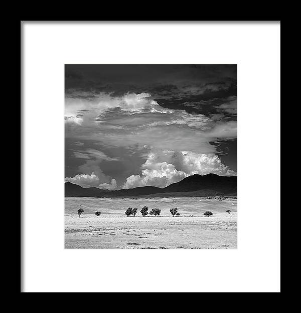 San Diego Framed Print featuring the photograph Trees and Hot Springs Mountain with Monsoon Clouds by William Dunigan