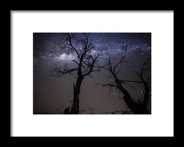 Horror Framed Print featuring the photograph Trees and stars by Jordanwhipps1987