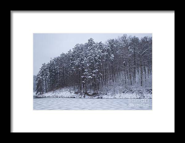 Woods Framed Print featuring the photograph Trees heading towards the water by Yvonne M Smith