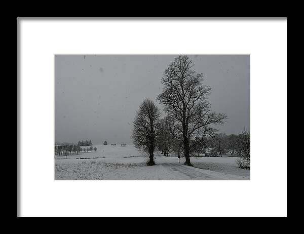 Herts Framed Print featuring the photograph Trees in a snow storm by Andrew Lalchan
