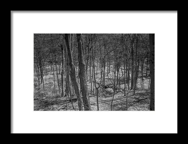 Desterted Village Framed Print featuring the photograph Trees in Deserted Village by Alan Goldberg