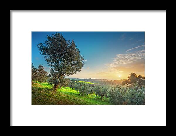 Olive Framed Print featuring the photograph Trees in Maremma at Sunset. Tuscany by Stefano Orazzini
