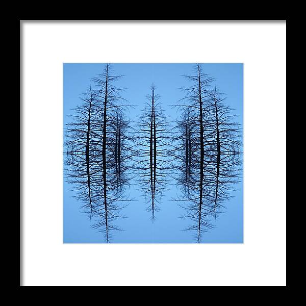 Trees Framed Print featuring the photograph Trees in the Ether by Joanne Schultz