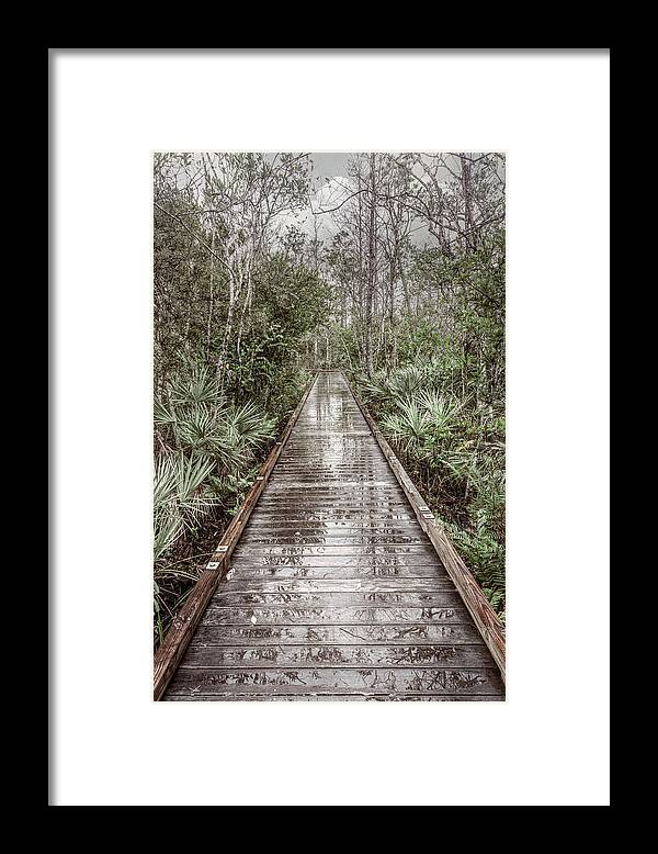 Clouds Framed Print featuring the photograph Trees in the Soft Rain by Debra and Dave Vanderlaan