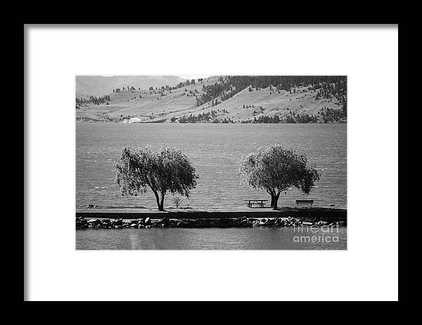 Nature Framed Print featuring the photograph Trees on the Pier by Kae Cheatham