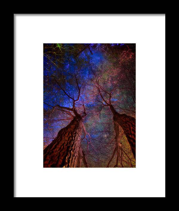 Trees Framed Print featuring the digital art Trees Pointing Toward Heaven by Russ Considine
