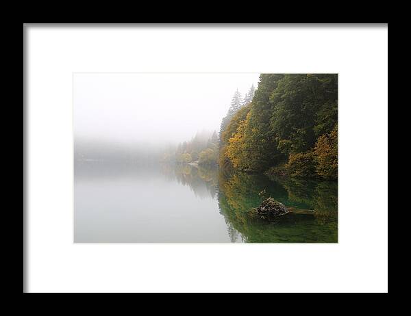 Italy Framed Print featuring the photograph Trees Reflected On Water by Alberto Zanoni