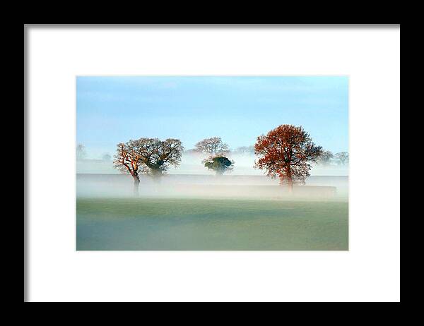 Trees Framed Print featuring the photograph Trees Seventeen by Ian Hutson