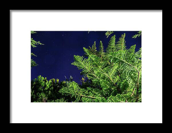 Night Sky Stars Framed Print featuring the photograph Trees with starry sky by Fabiano Di Paolo