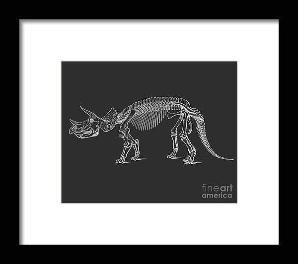 Dino Framed Print featuring the digital art Triceratops bones in black and white by Madame Memento