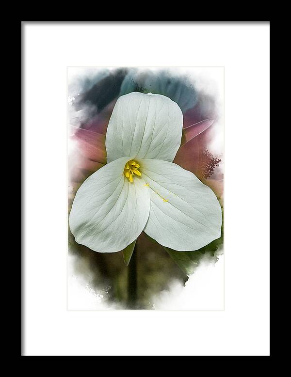 Spring Framed Print featuring the mixed media Trillium by Moira Law