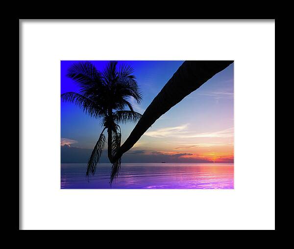 Palm Tree Framed Print featuring the photograph Tripper Palme by Josu Ozkaritz