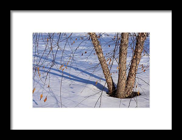 Intimate Landscape Framed Print featuring the photograph Triumbrant by James Covello