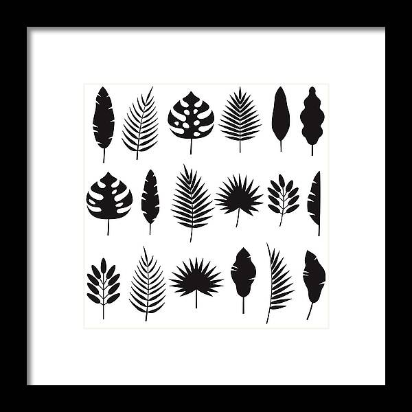 Date Palm Tree Framed Print featuring the drawing Tropical Leaf Silhouettes Set by Bortonia