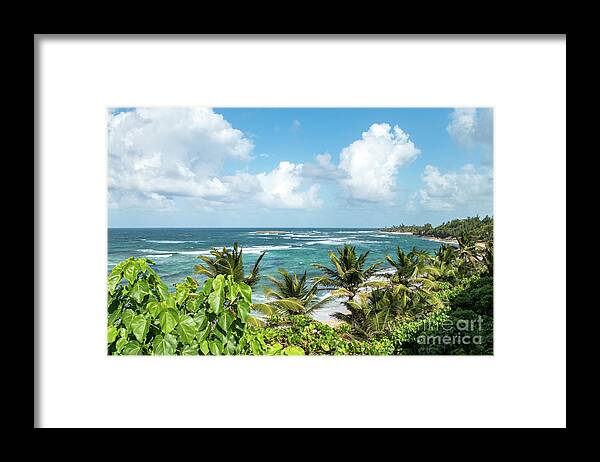Palm Framed Print featuring the photograph Tropical San Juan, Puerto Rico by Beachtown Views