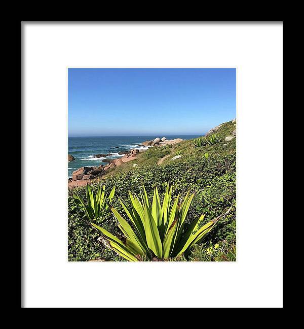 Brazil Framed Print featuring the photograph Tropical View by Bettina X