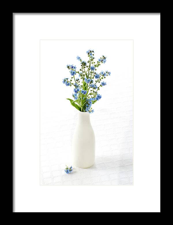 Forget Me Not Framed Print featuring the photograph True Love Memories by Patty Colabuono