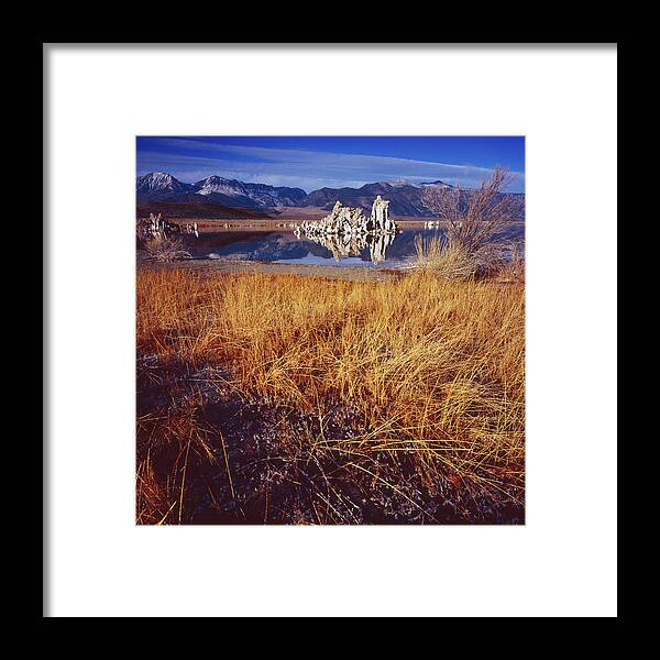 Nature Photography Framed Print featuring the photograph Tufa and Frozen Grass-SQ by Tom Daniel