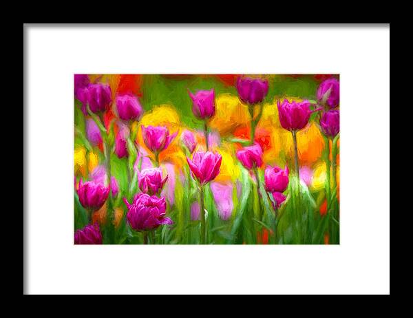 Tulips Framed Print featuring the mixed media Tulip Celebration by Susan Rydberg