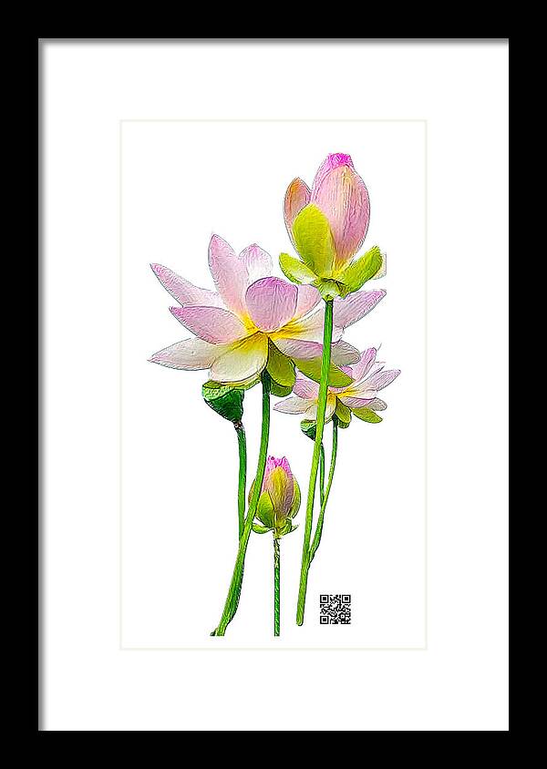 Flowers Framed Print featuring the mixed media Tulipan by Rafael Salazar