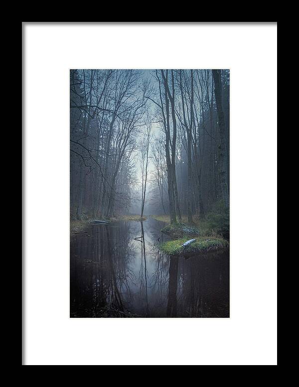 Forest Framed Print featuring the photograph Twilight Procession by Alexander Kunz