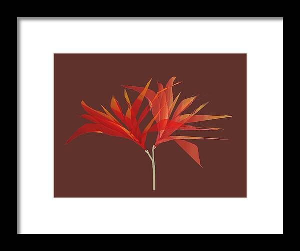 Flowers Framed Print featuring the digital art Twin Blossom by Asok Mukhopadhyay