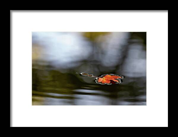 Autumn Framed Print featuring the photograph Twin Lakes Red by Kevin Suttlehan