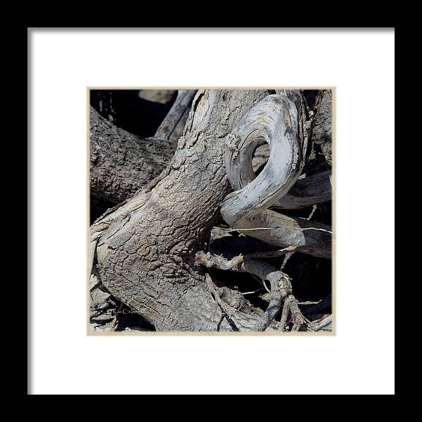 Wood Framed Print featuring the photograph Twisted Wood by Kae Cheatham