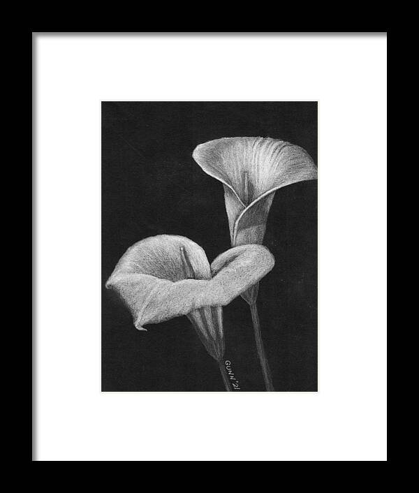 Calla Lily Framed Print featuring the drawing Two Calla Lilies by Katrina Gunn