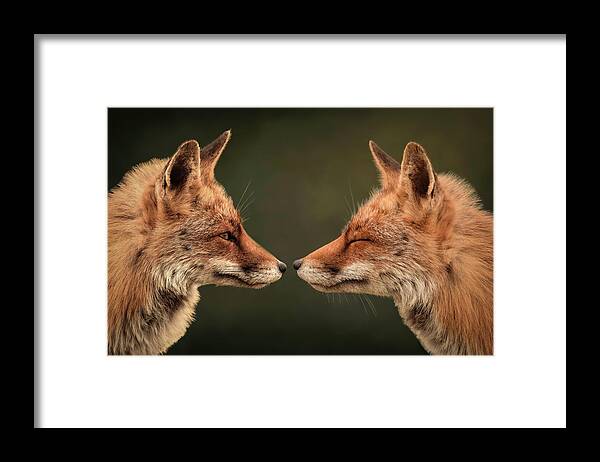 Two Foxes Framed Print featuring the digital art Two Foxes You And Me by Marjolein Van Middelkoop