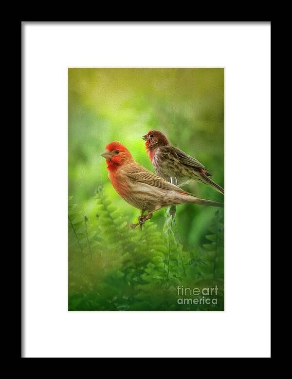 Bird Framed Print featuring the photograph Two Little Finches by Shelia Hunt