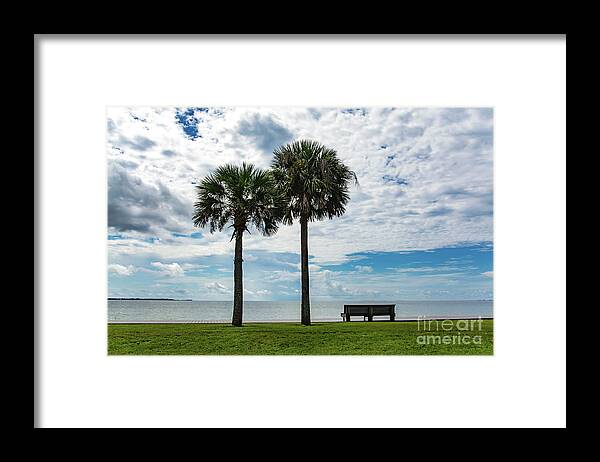 Two Framed Print featuring the photograph Two Palms on Pensacola Bay by Beachtown Views