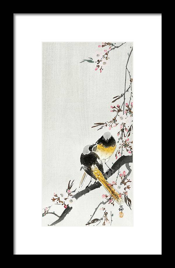 Birds Framed Print featuring the painting Two sable red tails with cherry blossom by Ohara Koson
