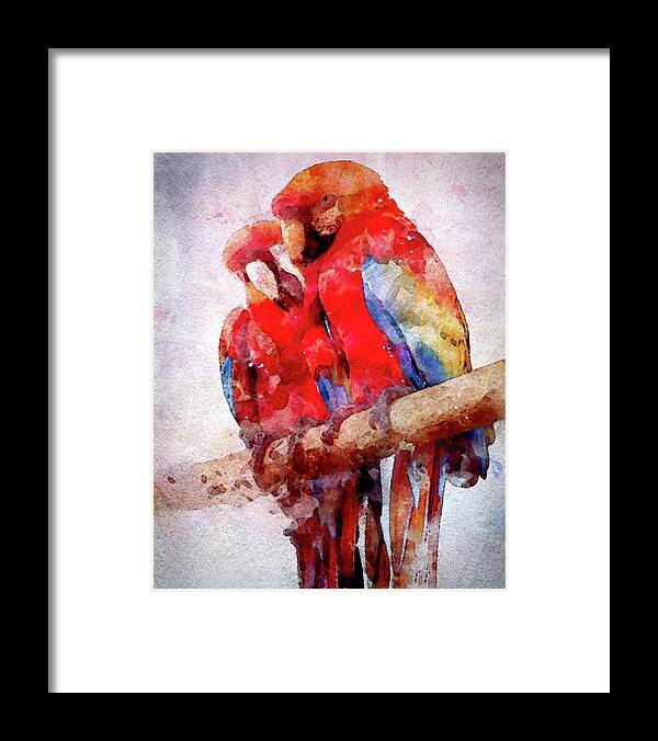 Two Scarlet Macaws In Watercolor Framed Print featuring the digital art Two Scarlet Macaws in Watercolor by Susan Maxwell Schmidt