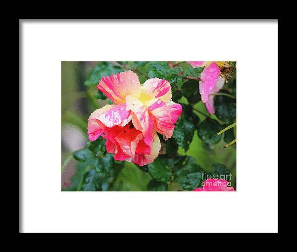 Rose Framed Print featuring the photograph Tyger Rose Burning Bright by Brian Watt