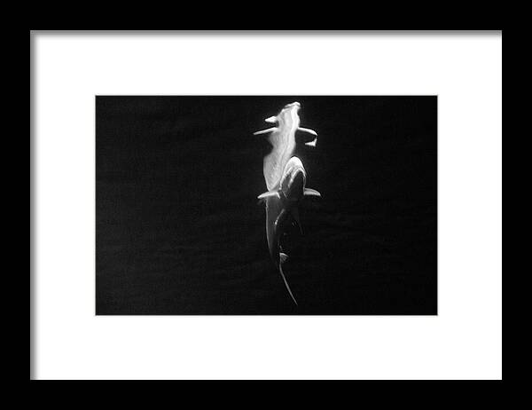 Black And White Framed Print featuring the photograph Under the Surface #2 by Gina Cinardo