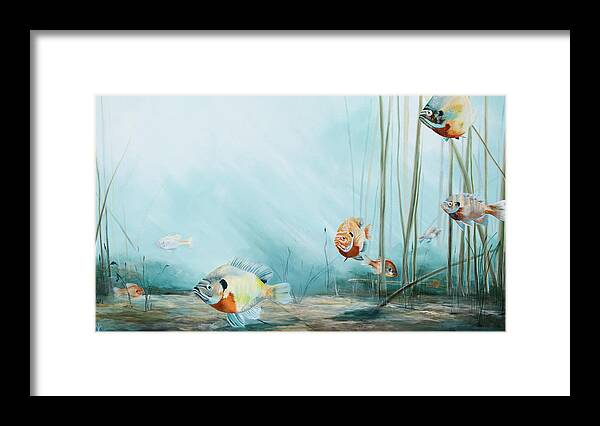 Fish Framed Print featuring the painting Breem by Katrina Nixon