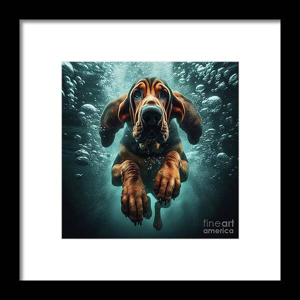 Underwater Framed Print featuring the digital art Underwater Bloodhound by Holly Picano