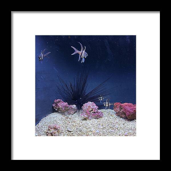 Aquarium Framed Print featuring the painting Underwater koosh by Elena Pratt