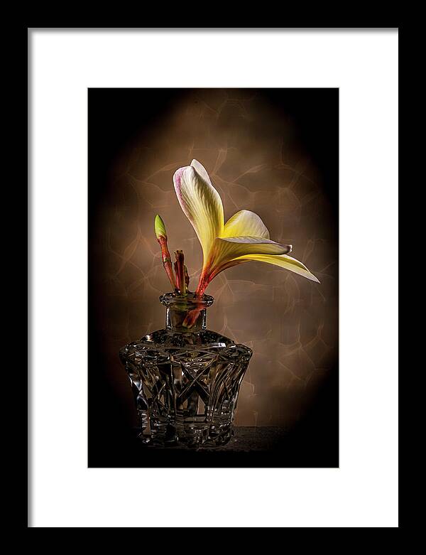 ©2010 Lou Novick Framed Print featuring the photograph Untitled by Lou Novick