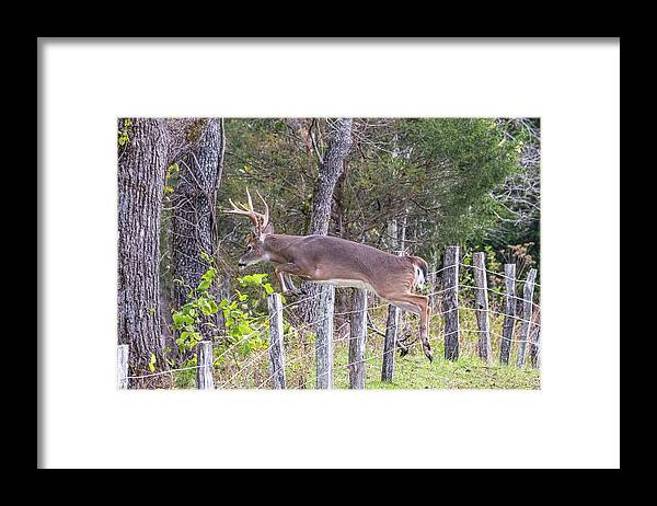  Framed Print featuring the photograph Up and Over by Jim Miller
