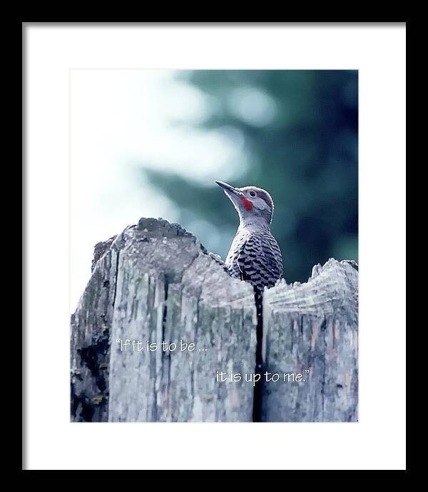 Think Framed Print featuring the photograph Up To Me by Jerry Sodorff